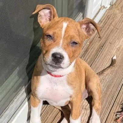 Milky Way D thumbnail 2