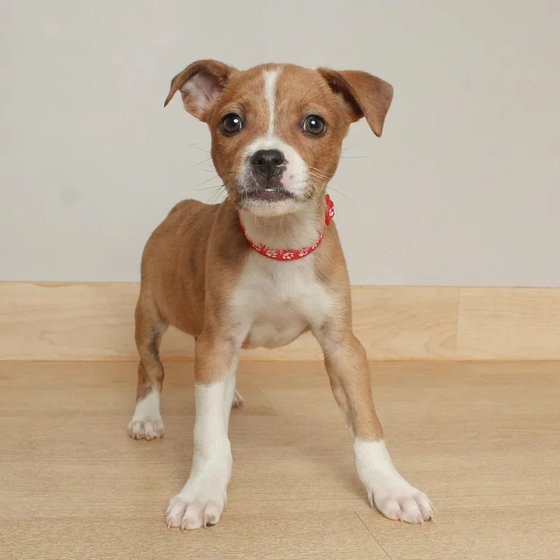 Milky Way D thumbnail 3