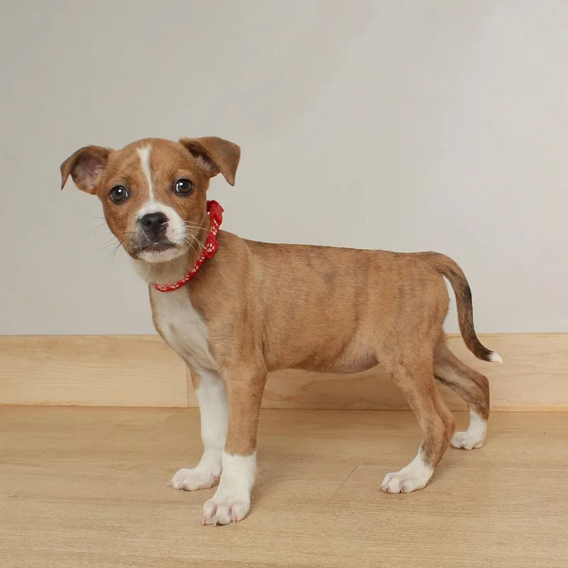 Milky Way D thumbnail 4