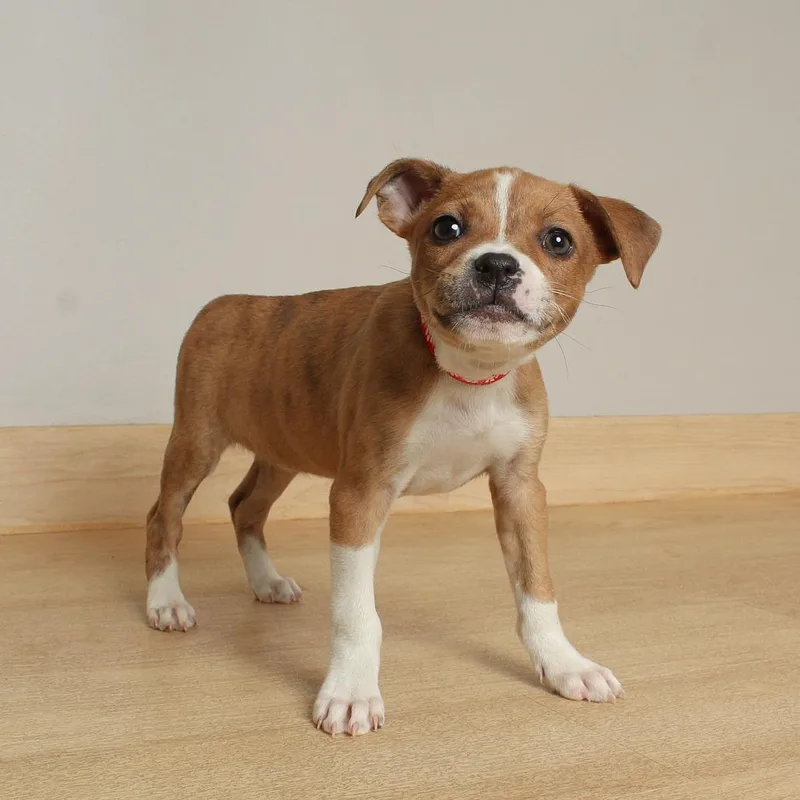 Milky Way D thumbnail 5