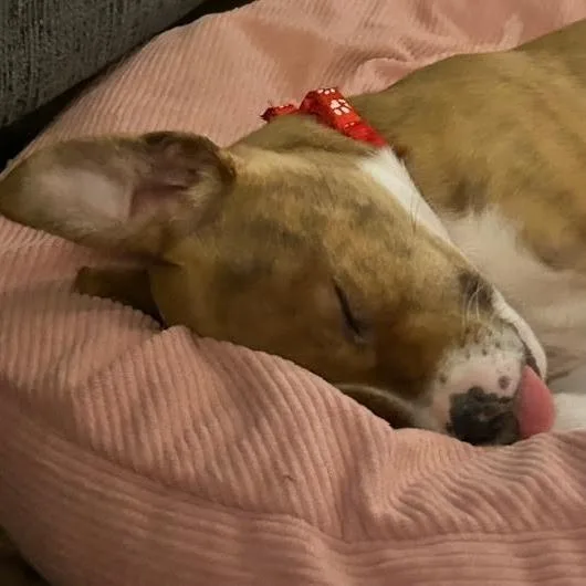 Milky Way D thumbnail 6