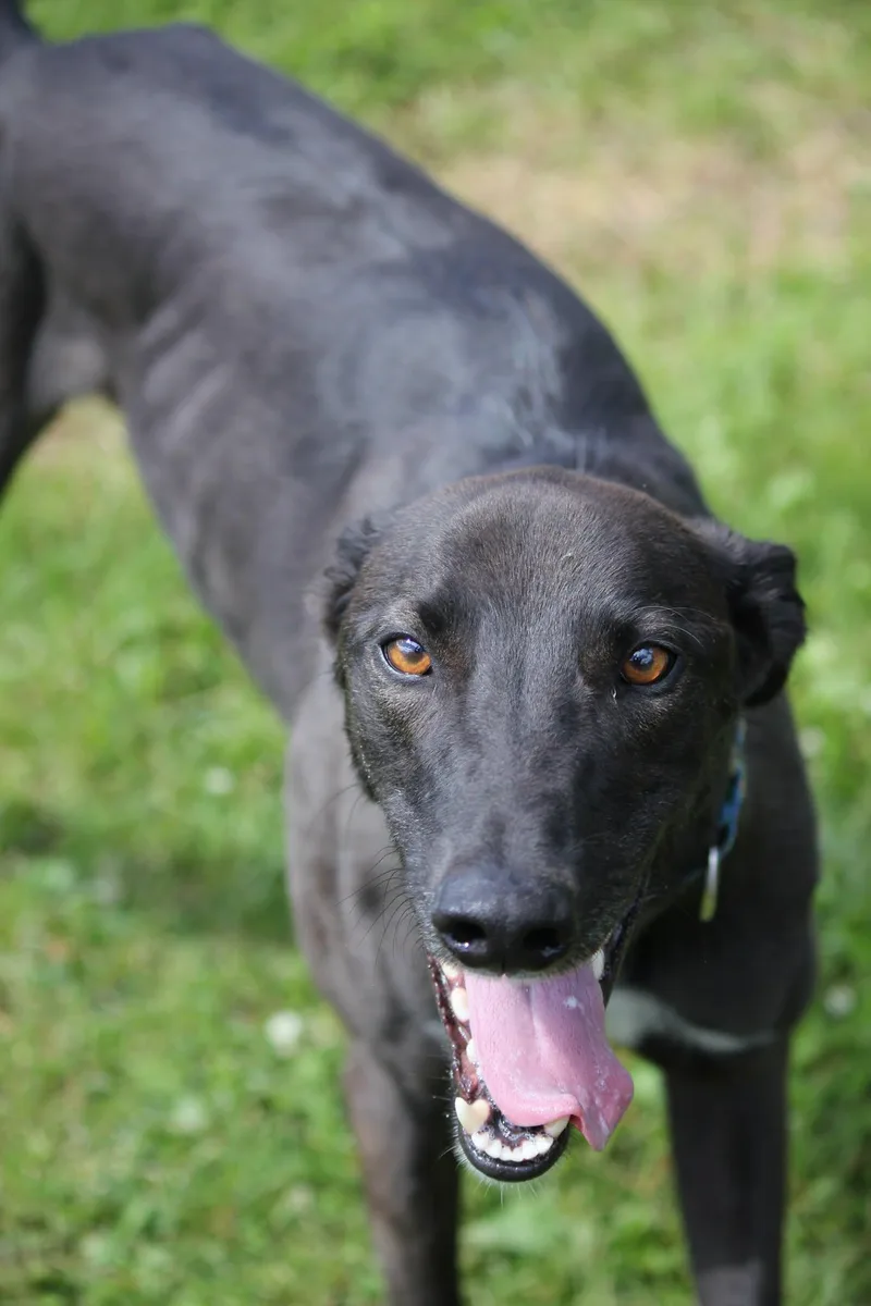 Magic thumbnail 3