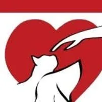 Rose Quartz thumbnail 2