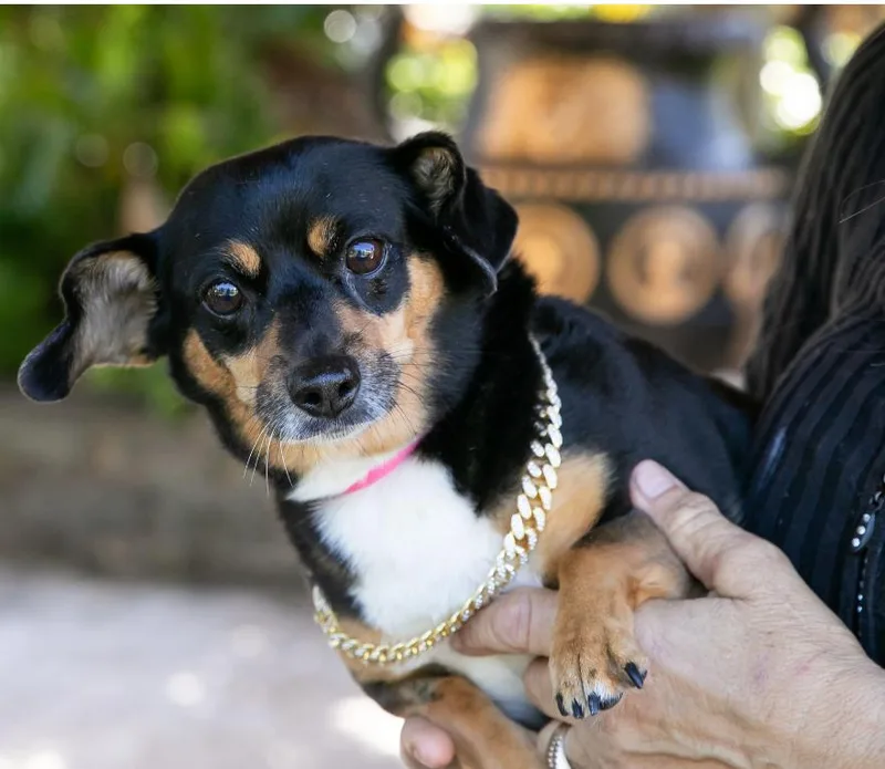 Maggie May thumbnail 3