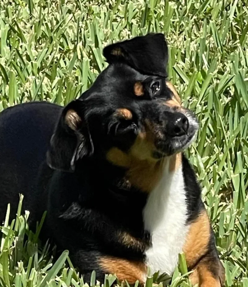 Maggie May thumbnail 4