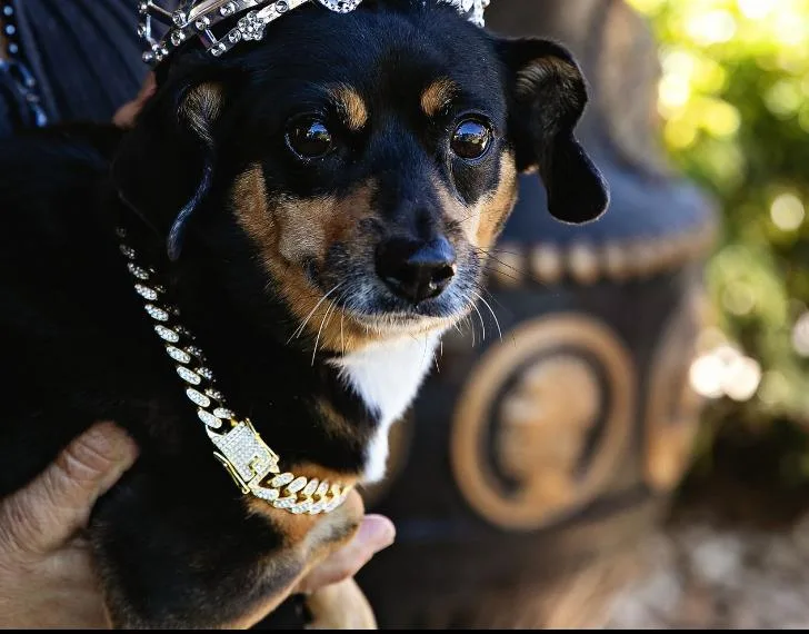 Maggie May thumbnail 6