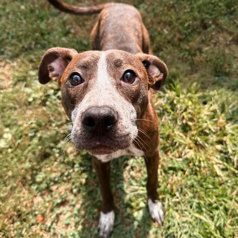 Maeve thumbnail 6