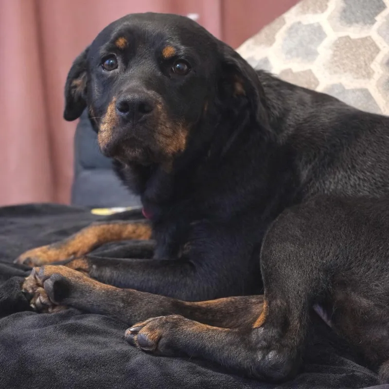 Dr. Pepper thumbnail 3