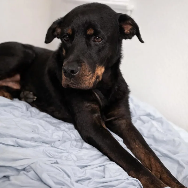 Dr. Pepper thumbnail 5