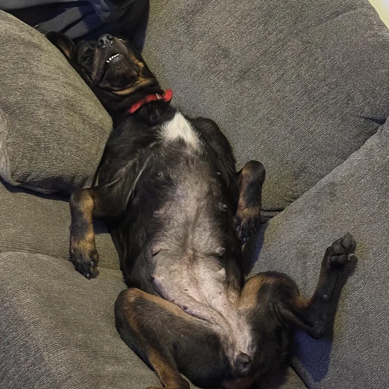 Dr. Pepper thumbnail 6