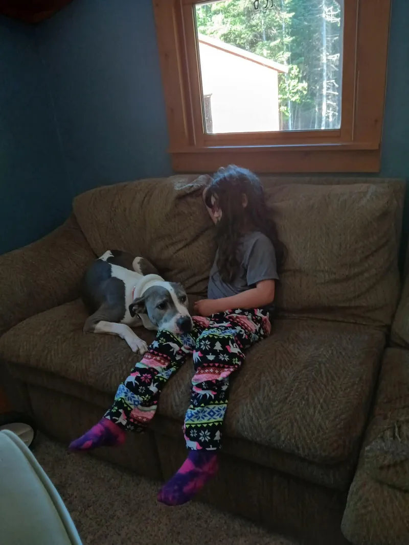 Roxie thumbnail 2