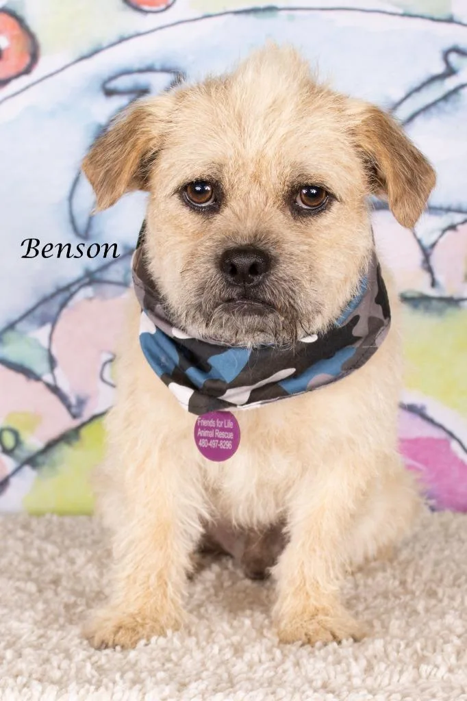 Benson thumbnail 3