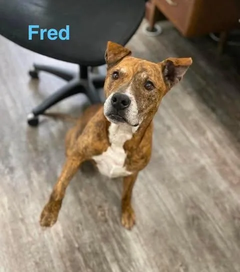 Fred thumbnail 3