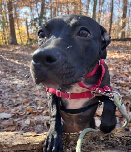 Ellie Grace thumbnail 3