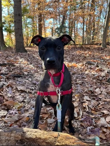 Ellie Grace thumbnail 5