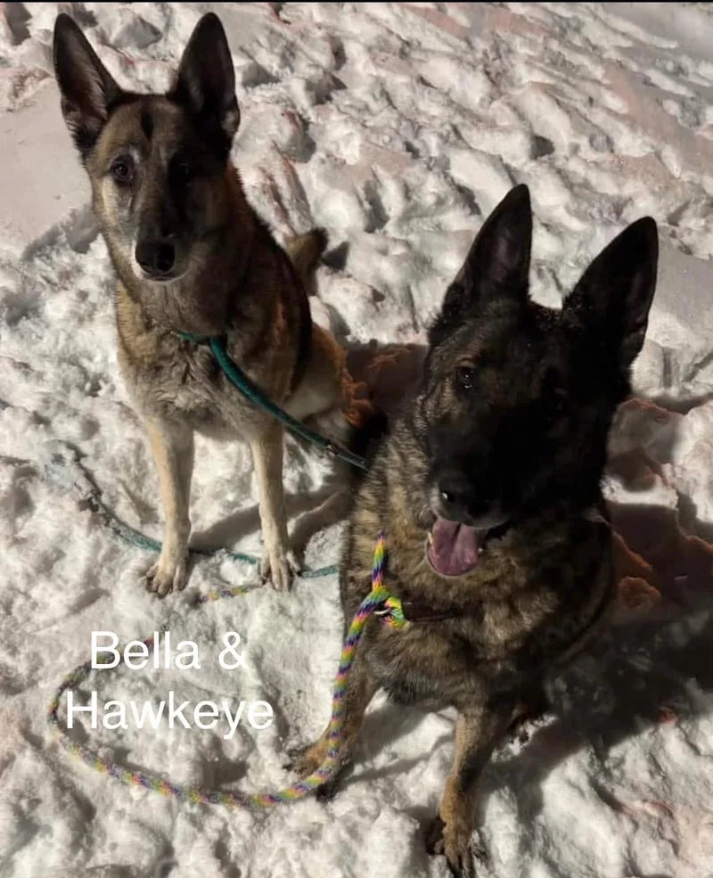 Hawkeye & Bella thumbnail 2