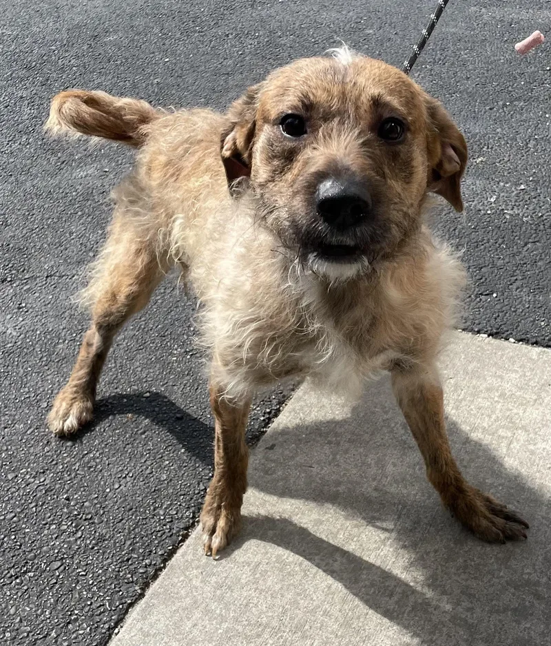 Clay Hold thumbnail 2