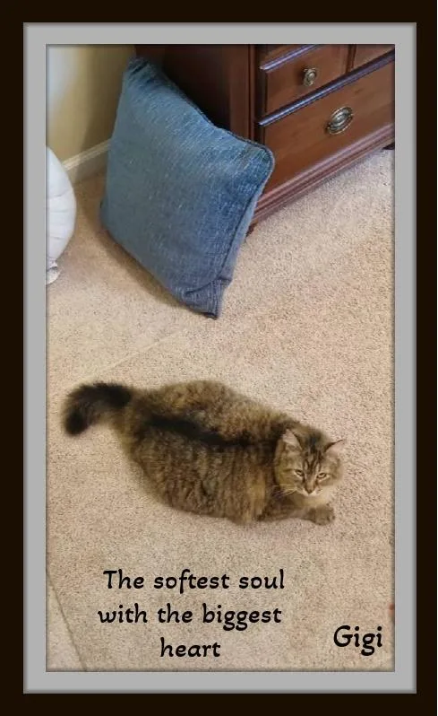 Gigi: Elegance  Fluff thumbnail 3
