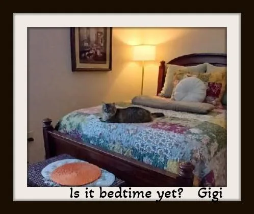 Gigi: Elegance  Fluff thumbnail 4