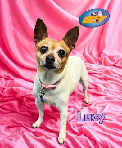 Lucy