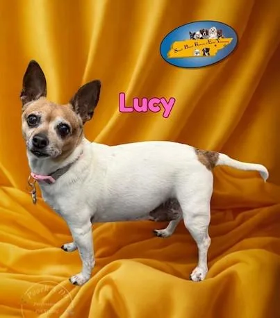 Lucy thumbnail 5