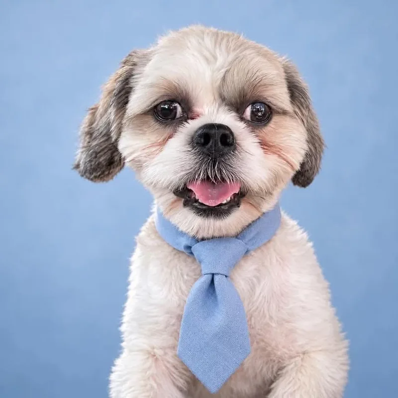 Chance thumbnail 5