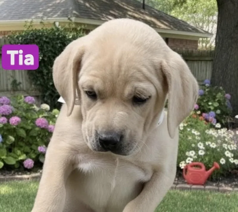 Babe Tia thumbnail 2