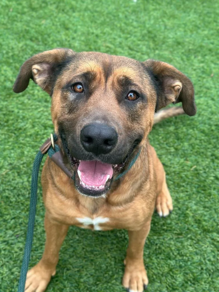 Scarlett Johansson thumbnail 2