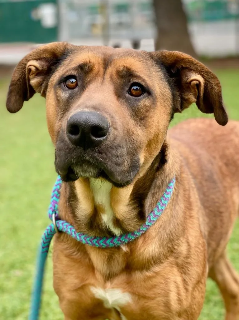 Scarlett Johansson thumbnail 3