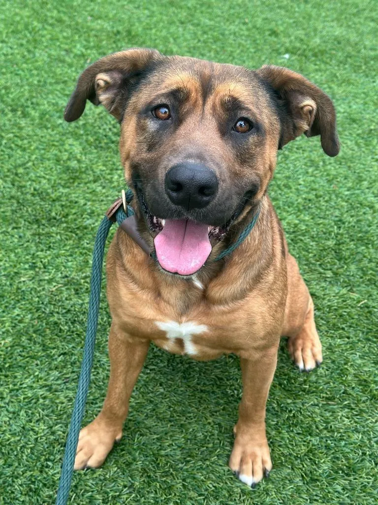 Scarlett Johansson thumbnail 4