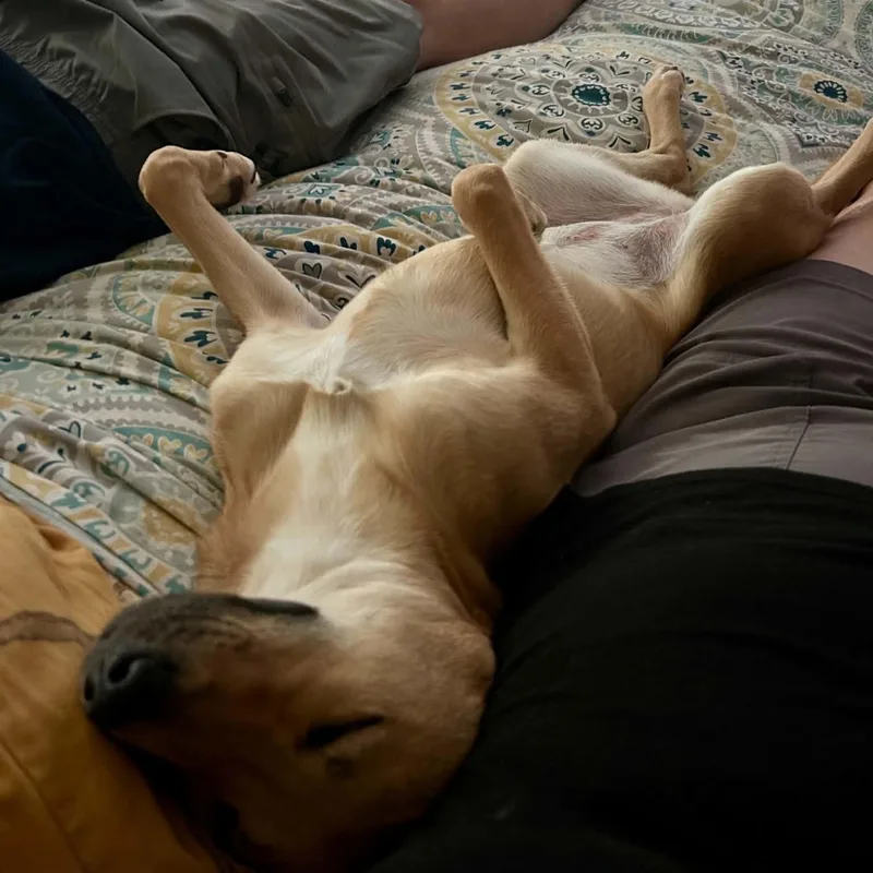 Mocha thumbnail 5