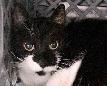 Sally Rose thumbnail 2