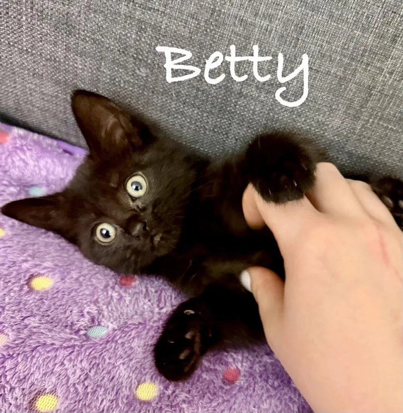 Betty thumbnail 3