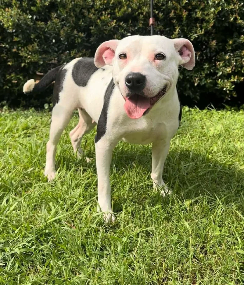 Mimi