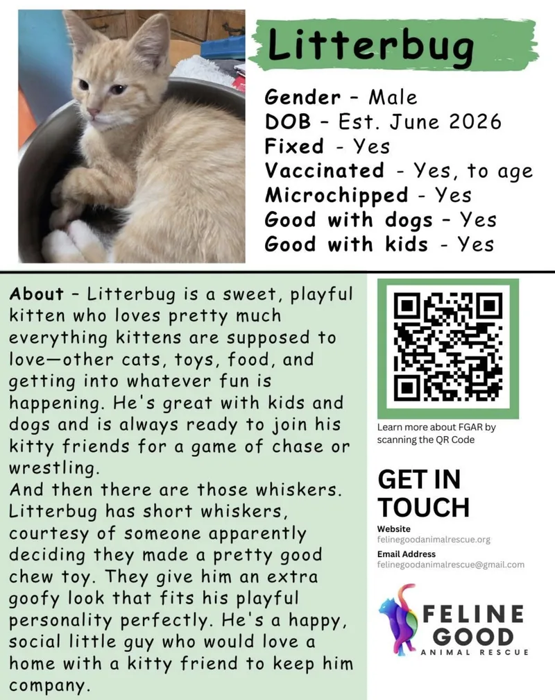 Litterbug thumbnail 4