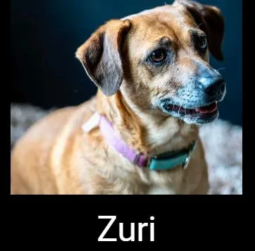 Zuri thumbnail 2