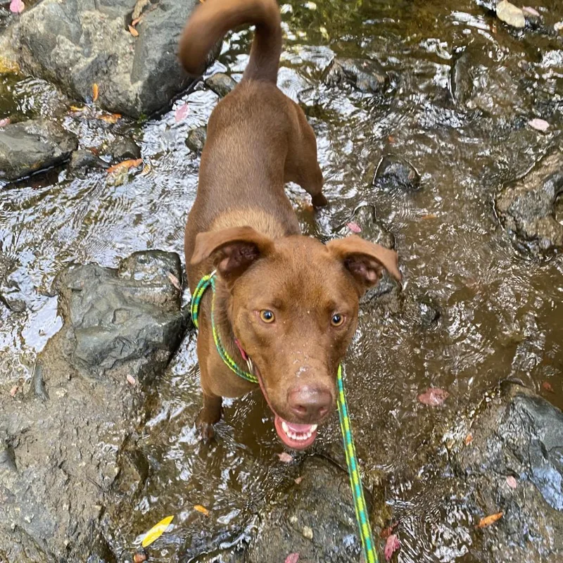 Moose Aka Alex thumbnail 2