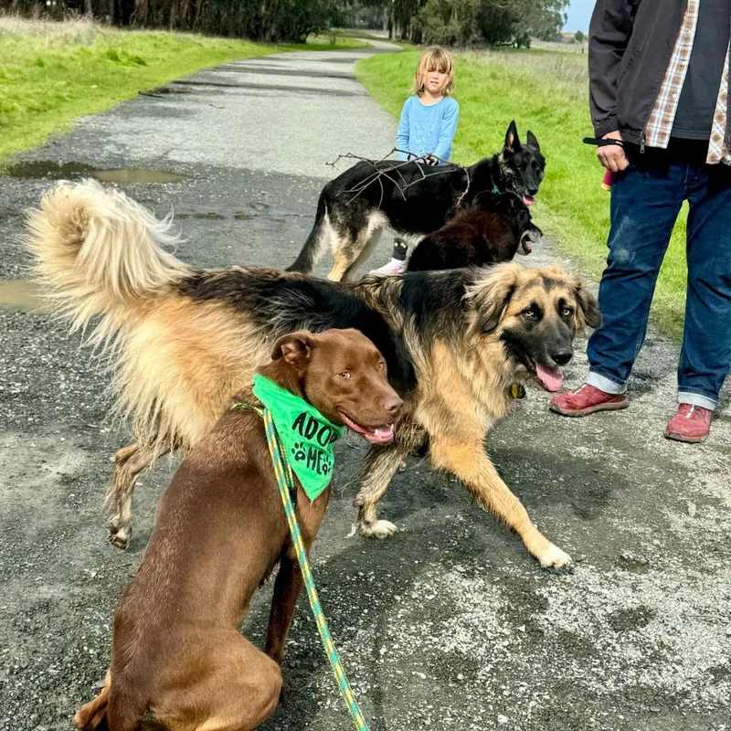 Moose Aka Alex thumbnail 4