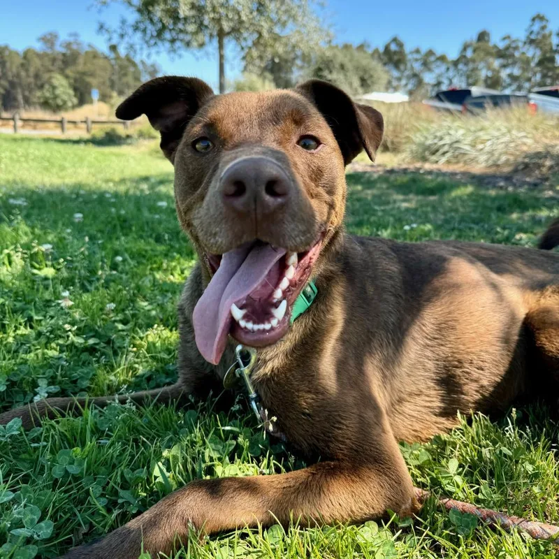 Moose Aka Alex thumbnail 6