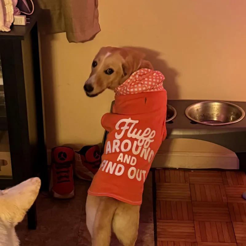 Daisy Mae thumbnail 3