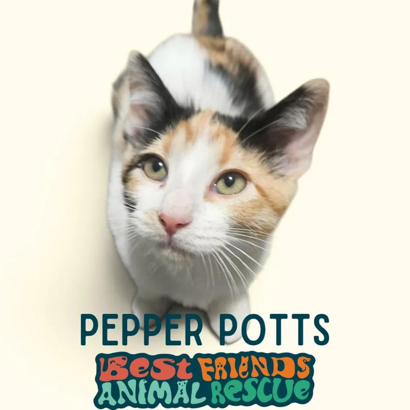 Pepper Potts