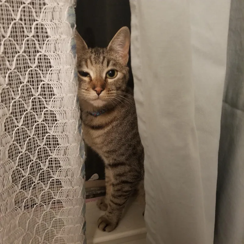 Samantha thumbnail 2