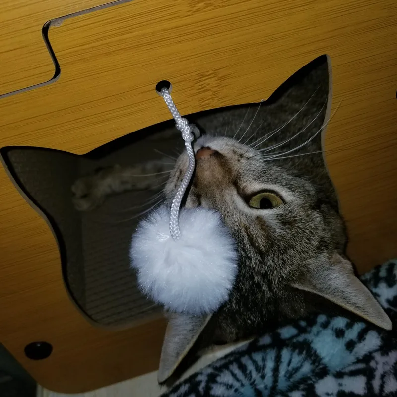 Samantha thumbnail 4