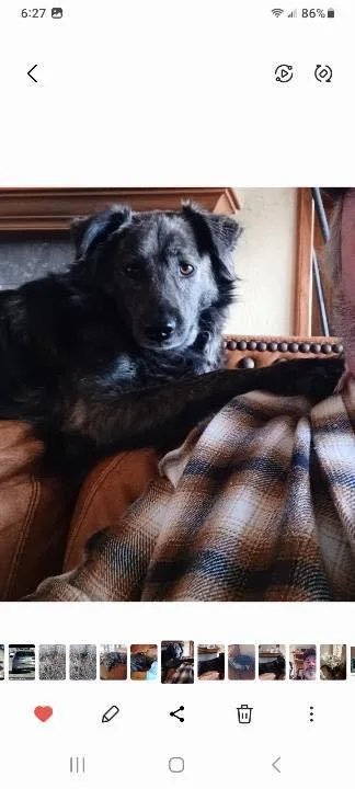 Kiowa Aka Kite thumbnail 3