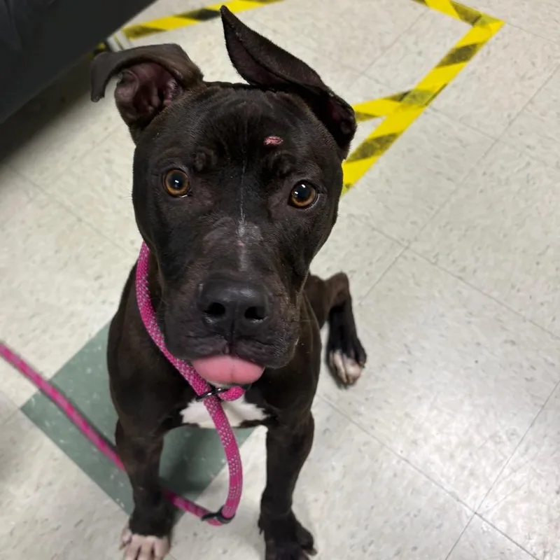 Lt. Beach thumbnail 2