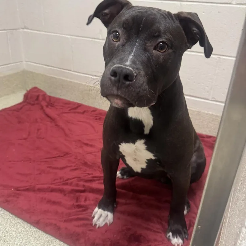 Lt. Beach thumbnail 3