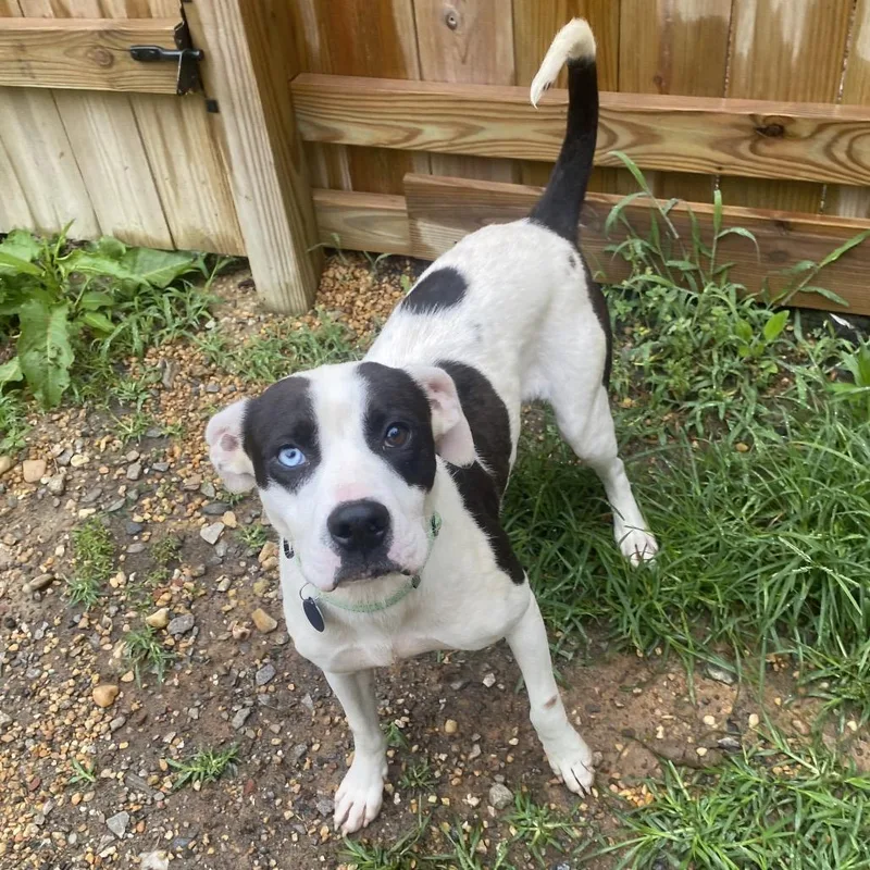 Scoville thumbnail 2