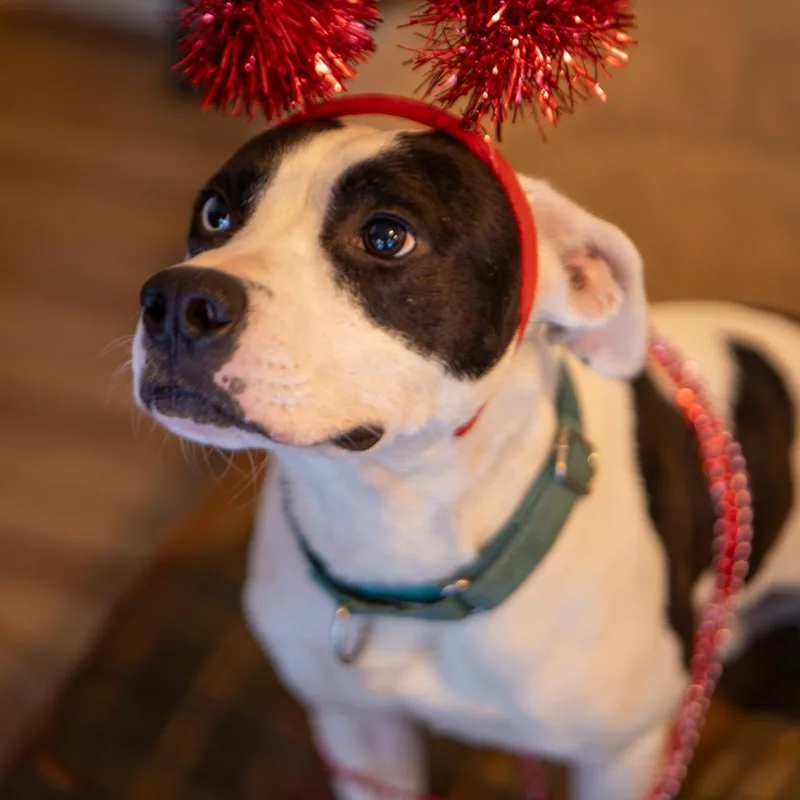 Scoville thumbnail 5