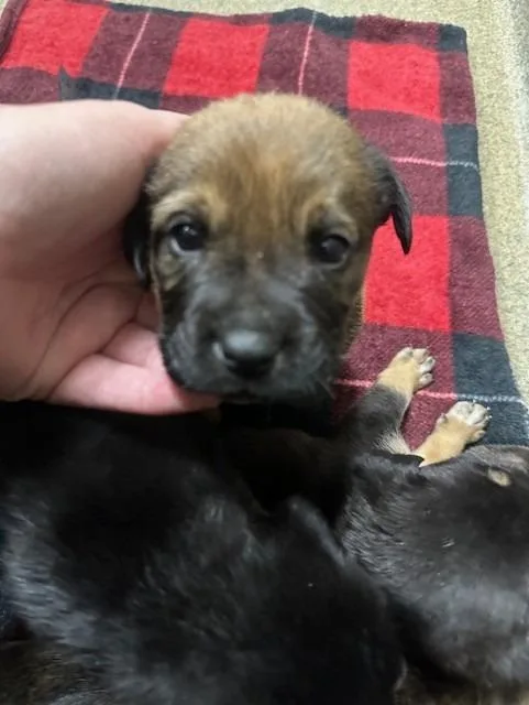 East Th Jamie Putton