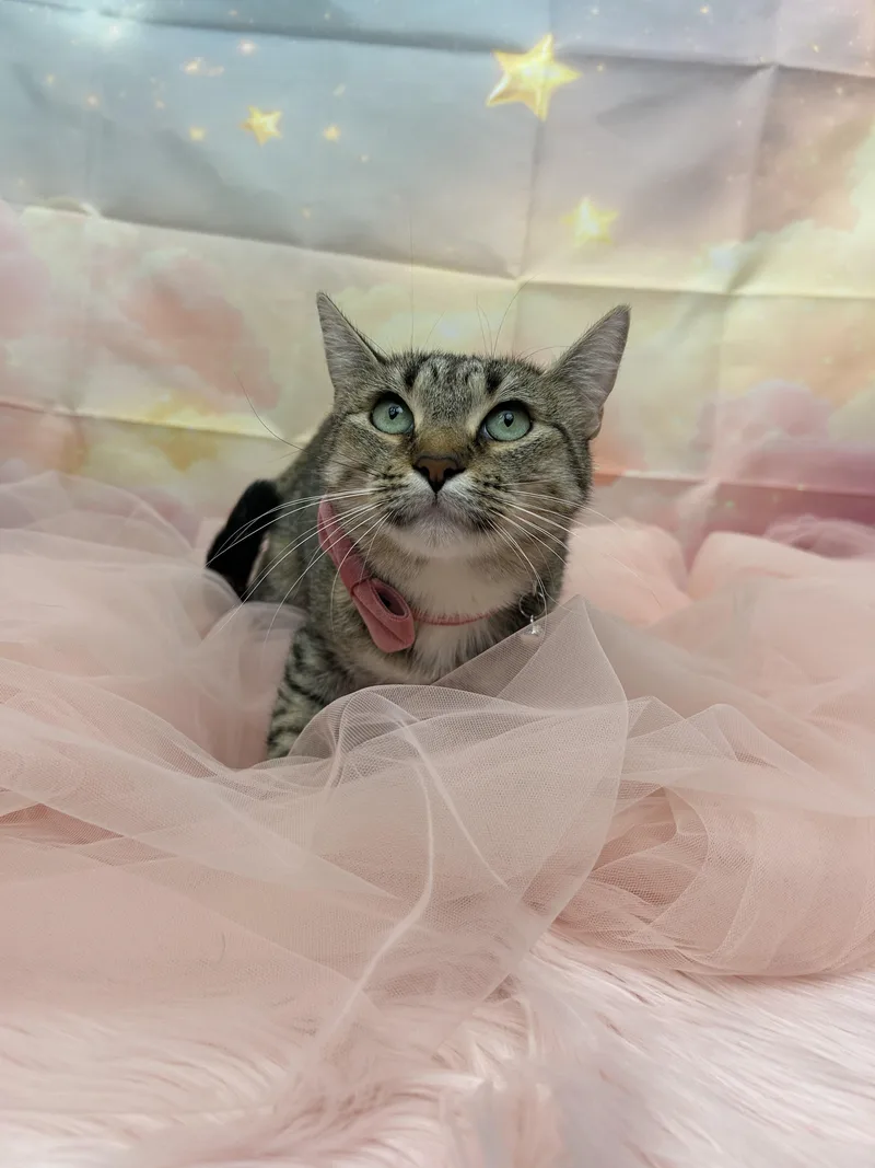 Bud & Sissy thumbnail 2